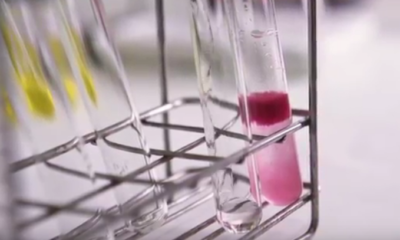 Responsable de Formulación en la Industria Química.