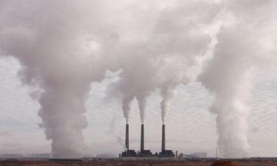 Profesional en prevención de la contaminación atmosférica y los agentes nocivos.