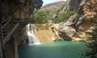 Guía-interprete del Patrimonio Natural